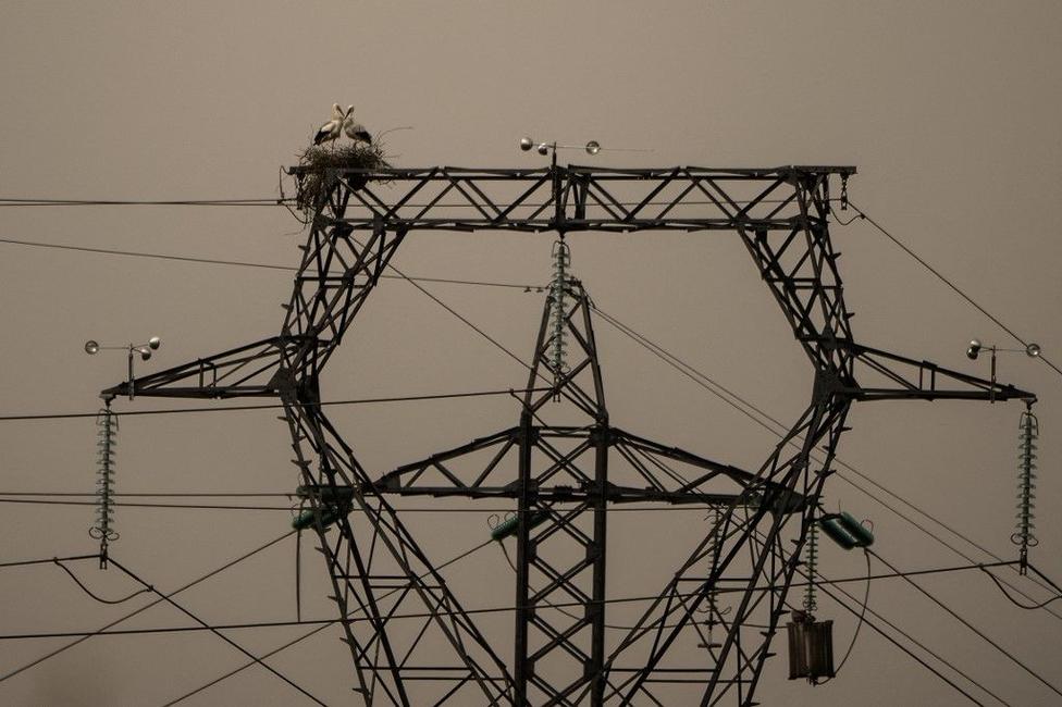 electricité - AFP