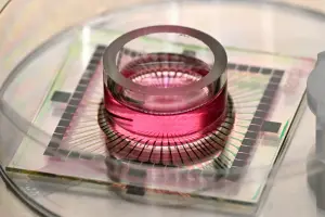 Cette photo, prise le 5 mai 2026, montre des puces à réseau de microélectrodes (MEA) contenant des nutriments, placées sur des neurones au laboratoire de confinement physique de niveau 2 (PC2) de Cortical Labs, à Melbourne. Des chercheurs australiens ont entraîné des cellules cérébrales cultivées en laboratoire sur une puce informatique en silicium à jouer au jeu de tir « Doom », sorti dans les années 1990. Ils affirment n'avoir encore exploré qu'une infime partie du potentiel de ces neurones.