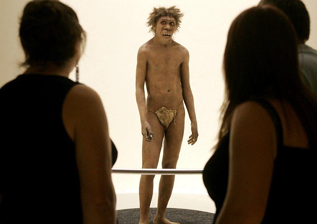 Des visiteurs observent la représentation d'un homme de Néandertal, le 19 juillet 2004 au musée national de la Préhistoire des Eyzies-de-Tayac.