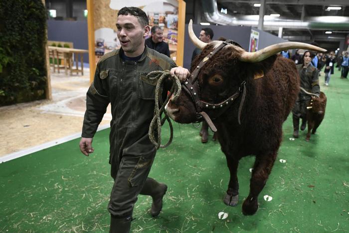 salon de l'agriculture 2023 AFP