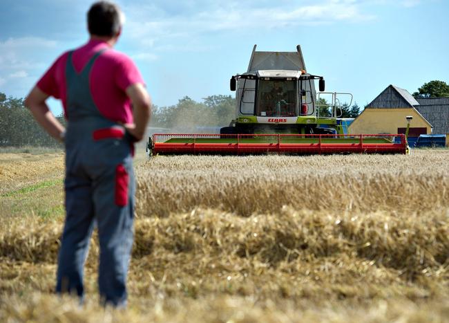 Agriculteur. (Image d'illustration