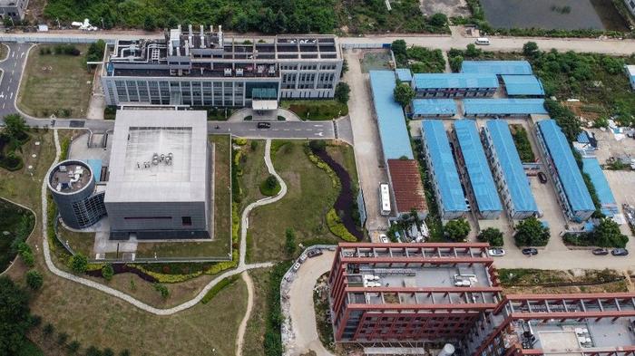 laboratoire P4 Wuhan - AFP