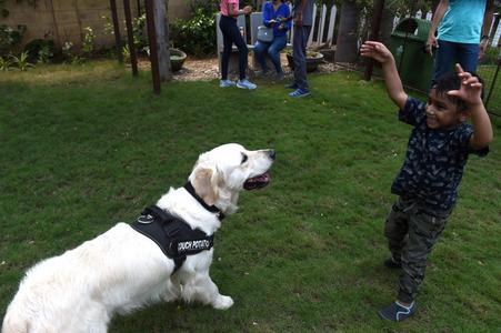 Un enfant souffrant de trouble du déficit de l'attention avec hyperactivité (TDAH) joue avec Maska, un chien de thérapie, au Sugar Rush Outdoors, un centre de loisirs axé sur la nature et les animaux.
