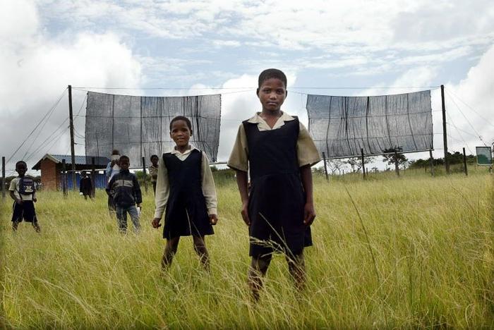 brouillard filets Afrique AFP