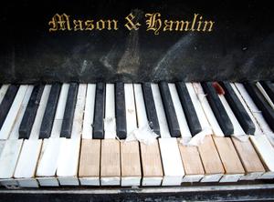 Article cover
