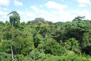 La Guyane Française, dans la jungle amazonienne.