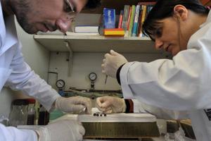 recherche laboratoire cancer AFP