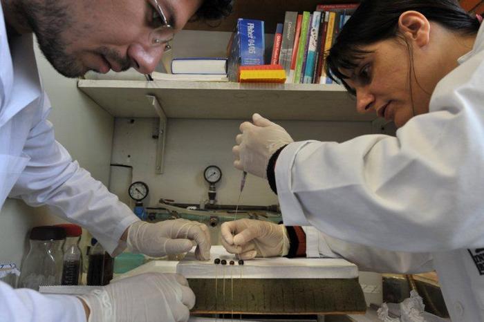 recherche laboratoire cancer AFP