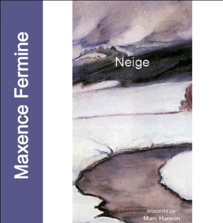 "Neige" de Maxence Fermine : un petit récit dont le lecteur s'attache à en révéler la musique intérieure