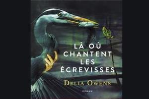 Article cover