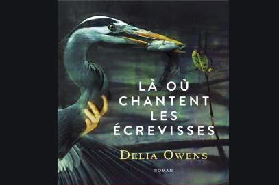 Article cover