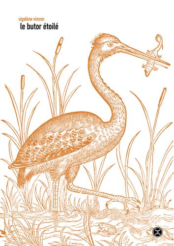 "Le Butor étoilé" de Sigolène Vinson.