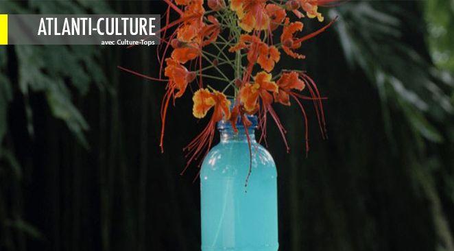 Article cover