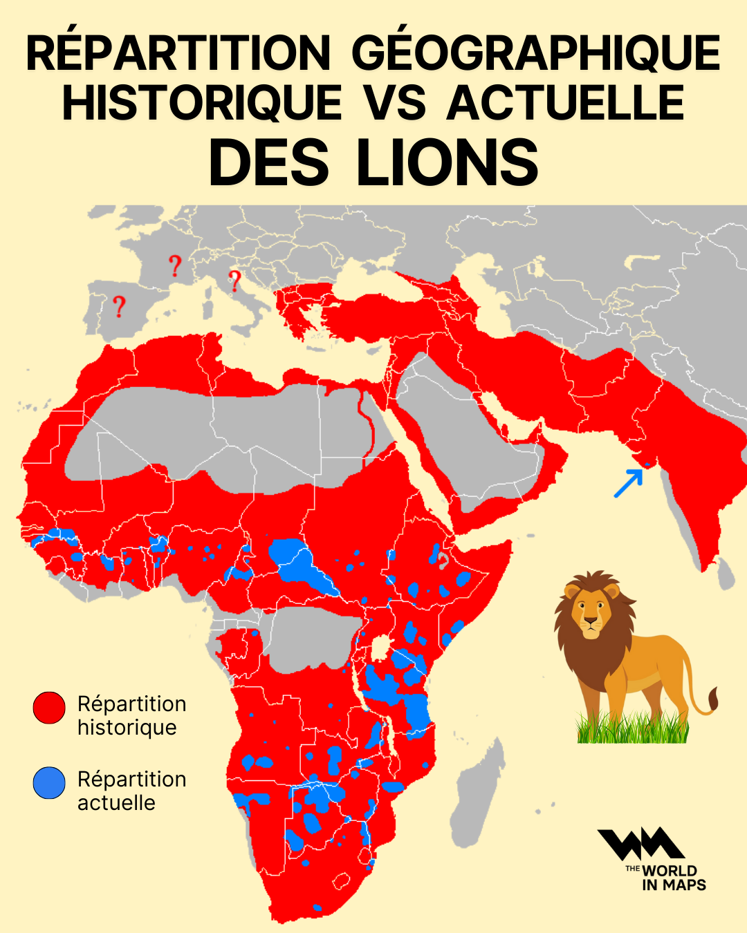 De roi de l'Afrique à espèce fragmentée : la lente disparition du territoire des lions
