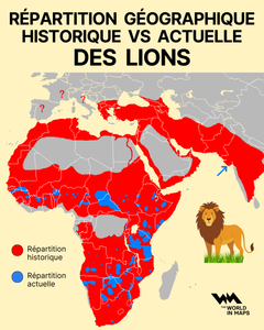 Répartition géographique de lions.