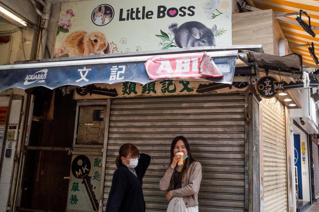 animalerie Hong Kong AFP