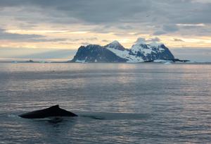 Antarctique. (Image d'illustration)
