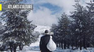 Article cover