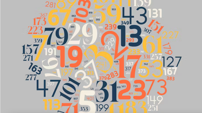 Un nombre premier est donc un nombre dont ses seuls diviseurs sont 1 et lui-même.