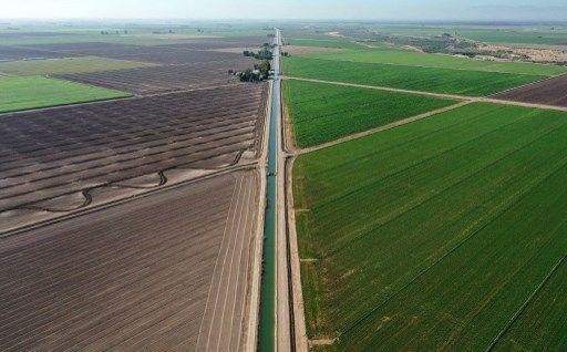 Agriculture - AFP