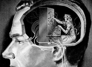 Un cerveau "occupé". (Image d'illustration)