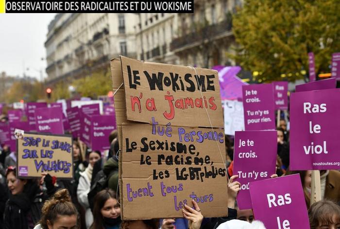 wokisme Olivier Vial AFP