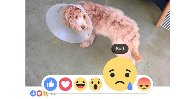 Facebook Reactions