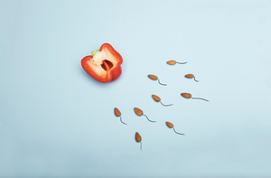 Une représentation artistique du concept de fertilité utilisant un poivron rouge et une représentation symbolique de spermatozoïdes sur fond bleu.