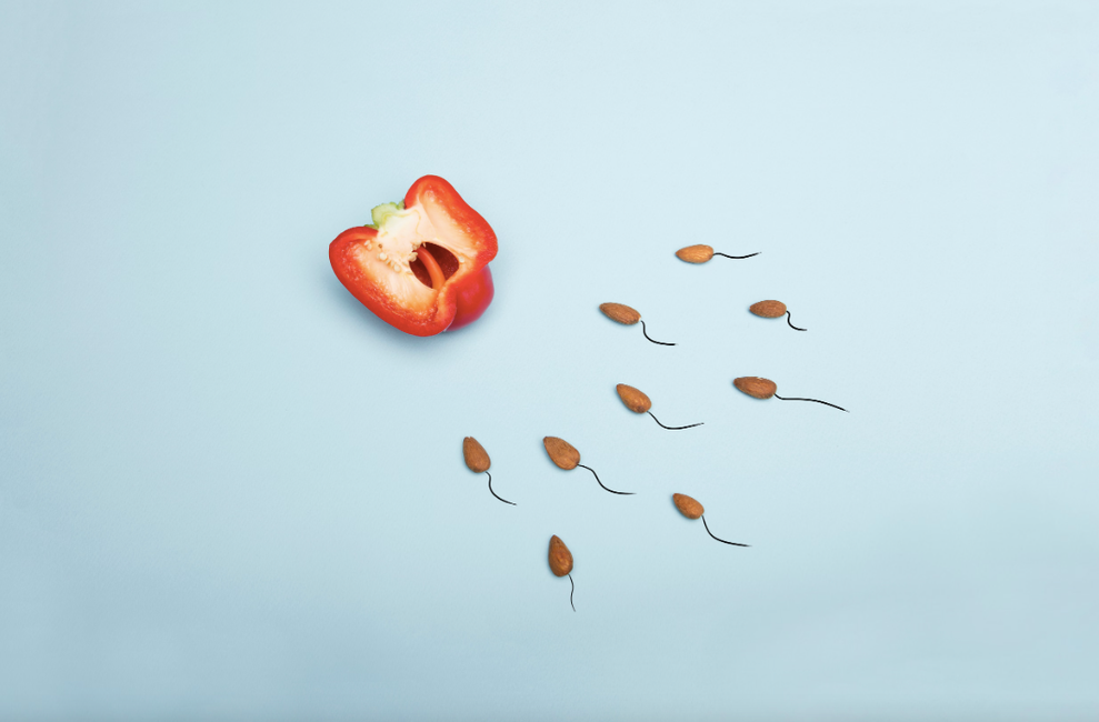 Une représentation artistique du concept de fertilité utilisant un poivron rouge et une représentation symbolique de spermatozoïdes sur fond bleu.
