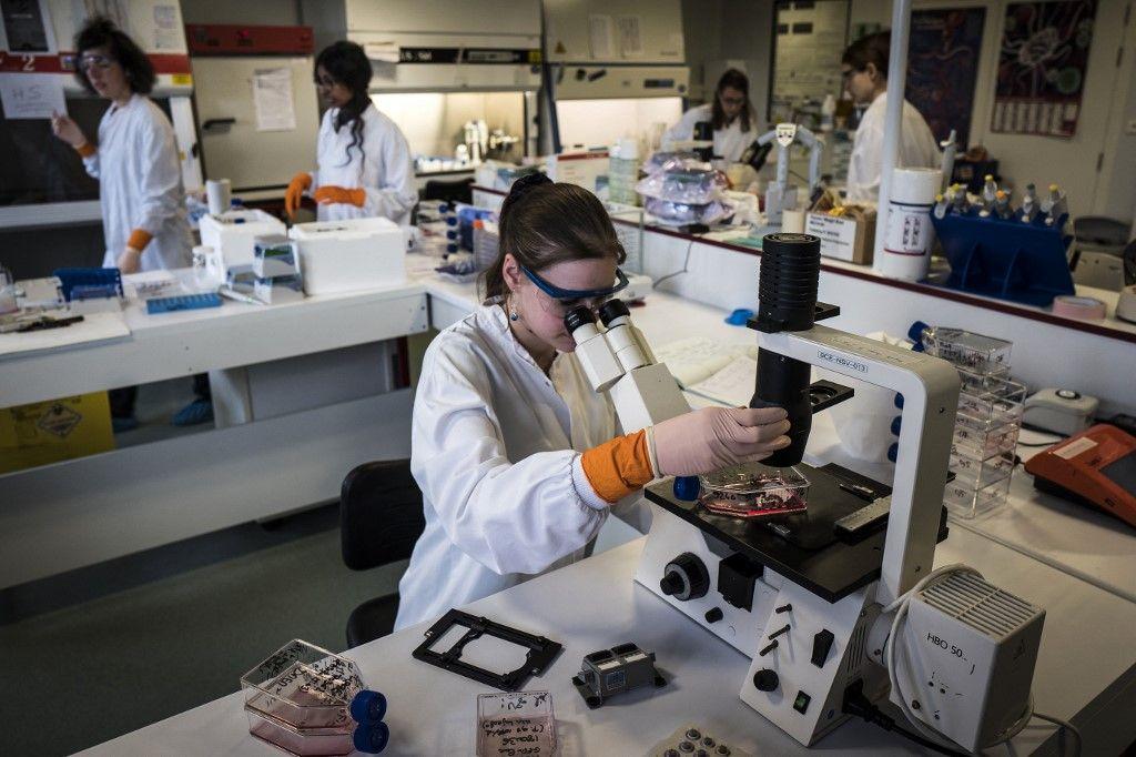 chercheurs laboratoires AFP