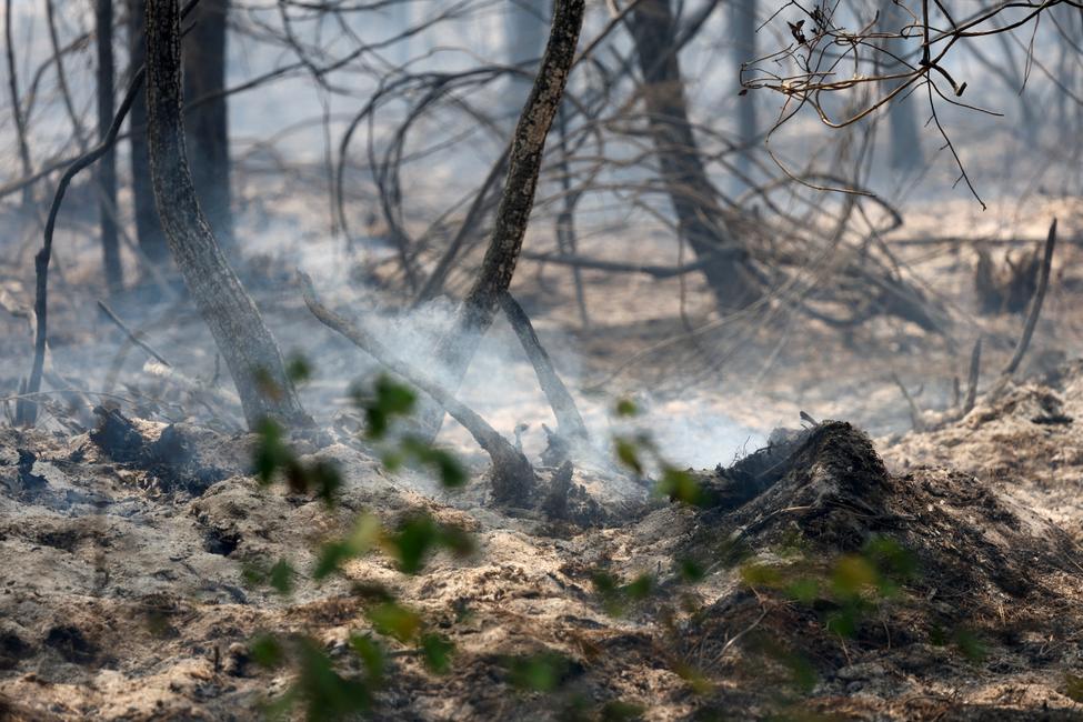 De la fumée s'élève d'une végétation calcinée dans une forêt près de Biscarrosse, dans le sud-ouest de la France, le 24 juillet 2026, au lendemain d'un incendie de forêt ayant ravagé la région. Déclaré le 23 juillet près de Biscarrosse, dans les Landes, le feu a déjà parcouru 1 200 hectares et atteint les abords de la commune, entraînant l'évacuation de plus de 5 000 personnes, selon la préfecture. (Image d'illustration)