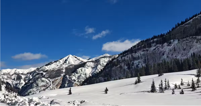 Cette photographie montre de la neige à la station des Saisies dans les Alpes françaises le 4 février 2025.