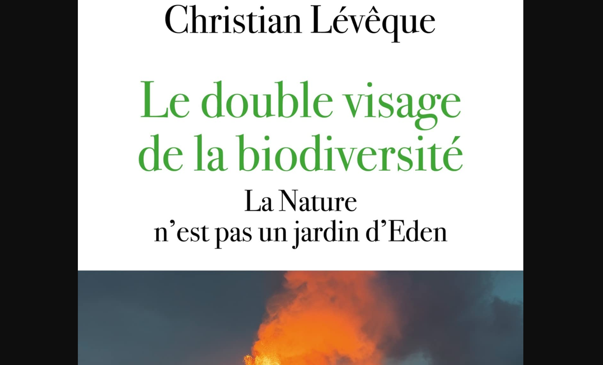 Article cover