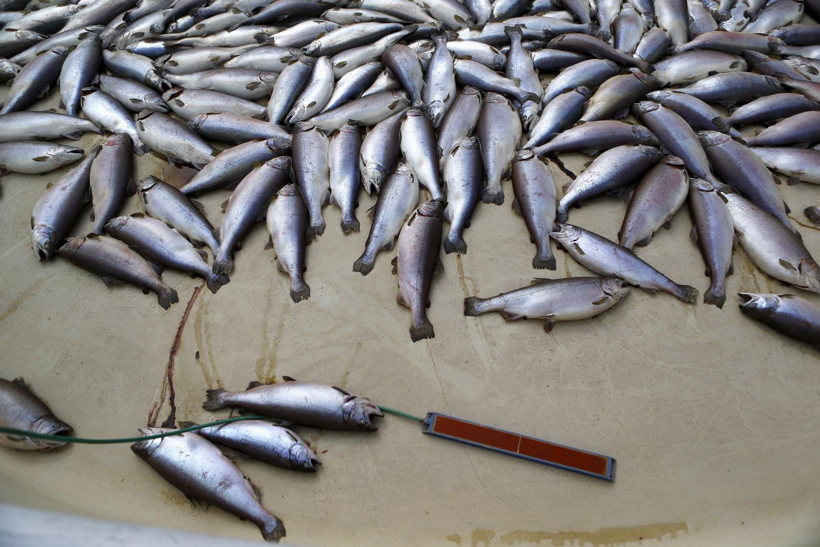 Article cover