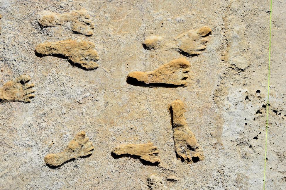 Cette image non datée montre des empreintes fossilisées au Nouveau-Mexique.