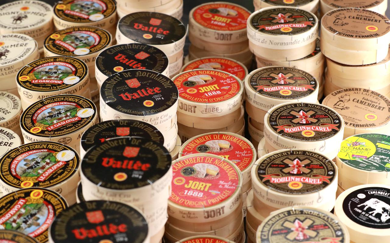 Du « Camembert de Normandie » au lait cru de vache, exposé lors de la journée d'ouverture du 57e Salon international de l'Agriculture au parc des expositions de la Porte de Versailles, à Paris.
