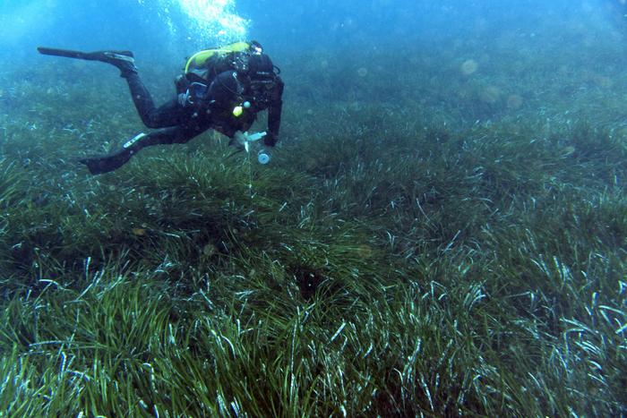 La mer Méditerranée a connu dimanche sa température de surface la plus chaude jamais enregistrée pour un mois de juin, à 26,01 °C en moyenne