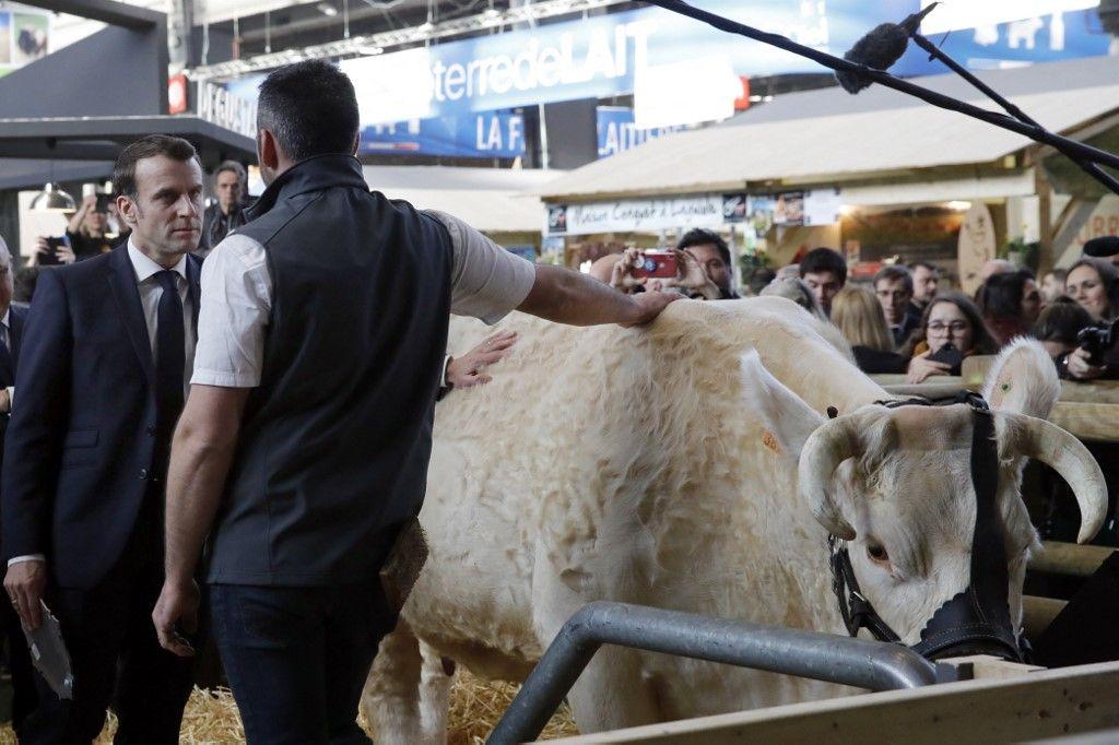 Emmanuel Macron salon de l'agriculture AFP