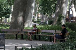 Un homme et une femme se reposent à l'ombre des arbres pour se rafraîchir dans un parc de Perpignan, dans le sud de la France.