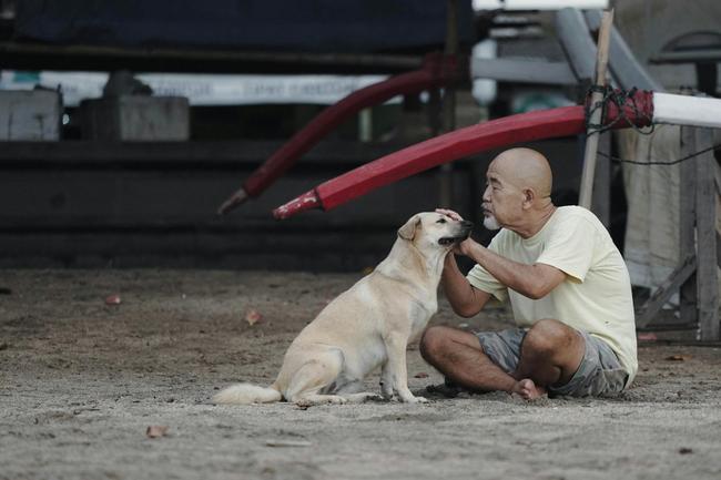 Une nouvelle étude suggère que les chiens pourraient avoir un effet biologique plus profond et plus complexe sur l'homme que ce que les scientifiques pensaient auparavant.