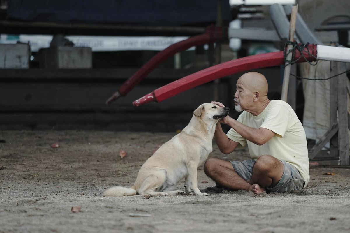 Une nouvelle étude suggère que les chiens pourraient avoir un effet biologique plus profond et plus complexe sur l'homme que ce que les scientifiques pensaient auparavant.
