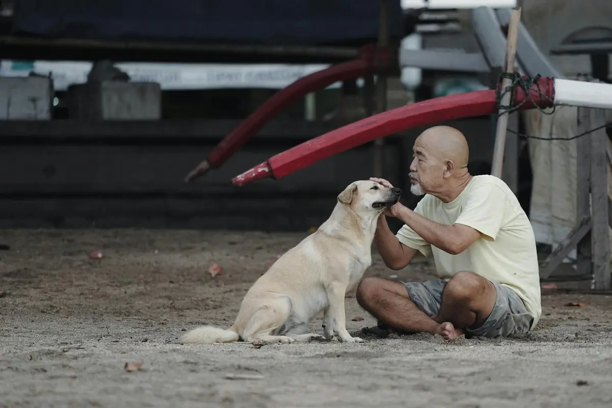 Une nouvelle étude suggère que les chiens pourraient avoir un effet biologique plus profond et plus complexe sur l'homme que ce que les scientifiques pensaient auparavant.