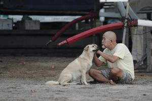 Une nouvelle étude suggère que les chiens pourraient avoir un effet biologique plus profond et plus complexe sur l'homme que ce que les scientifiques pensaient auparavant.