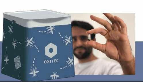 Oxitec