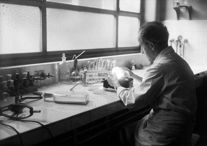 science pénicilline AFP