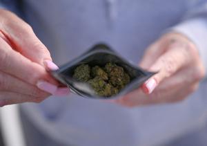 Cannabis