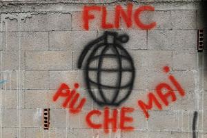 FLNC AFP