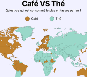 Café VS thé : qu'est-ce qui est consommé le plus en tasses par an ? 