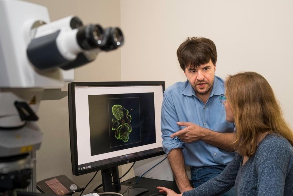 Le prix Nobel de médecine a été décerné le 5 octobre 2026 à Karl Deisseroth et à ses collègues allemands Peter Hegemann et Georg Nagel pour leurs travaux dans le domaine de l'optogénétique.