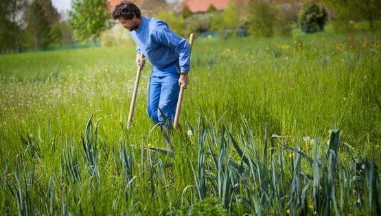 permaculture AFP